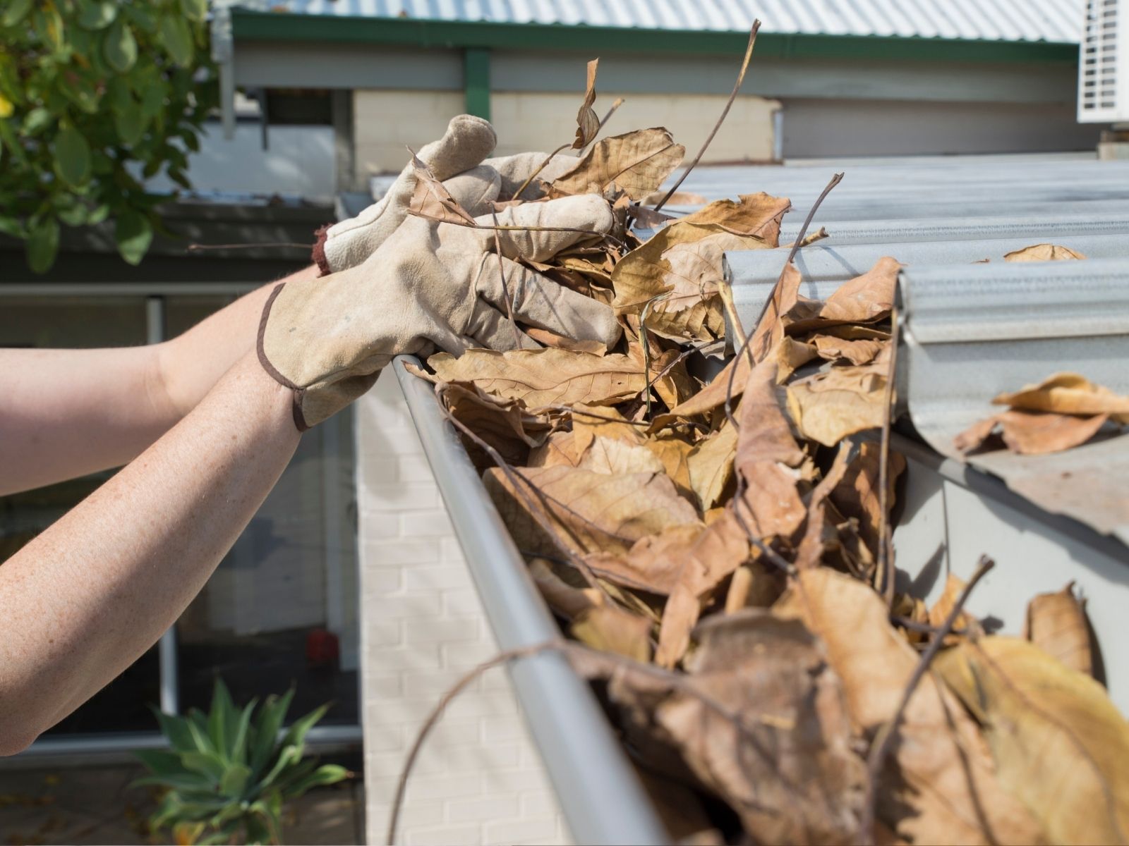 Hand removing fall leaves from clogged gutter – seasonal gutter cleaning service in Lynn, Indiana.